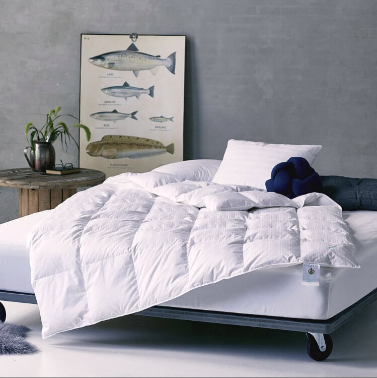 Engmo Dun Cecilia Dunt&auml;cke