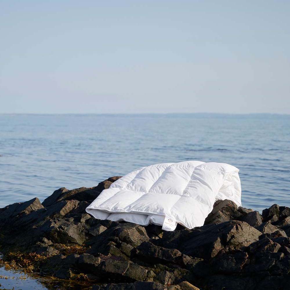 Engmo Dun Louise Duntäcke