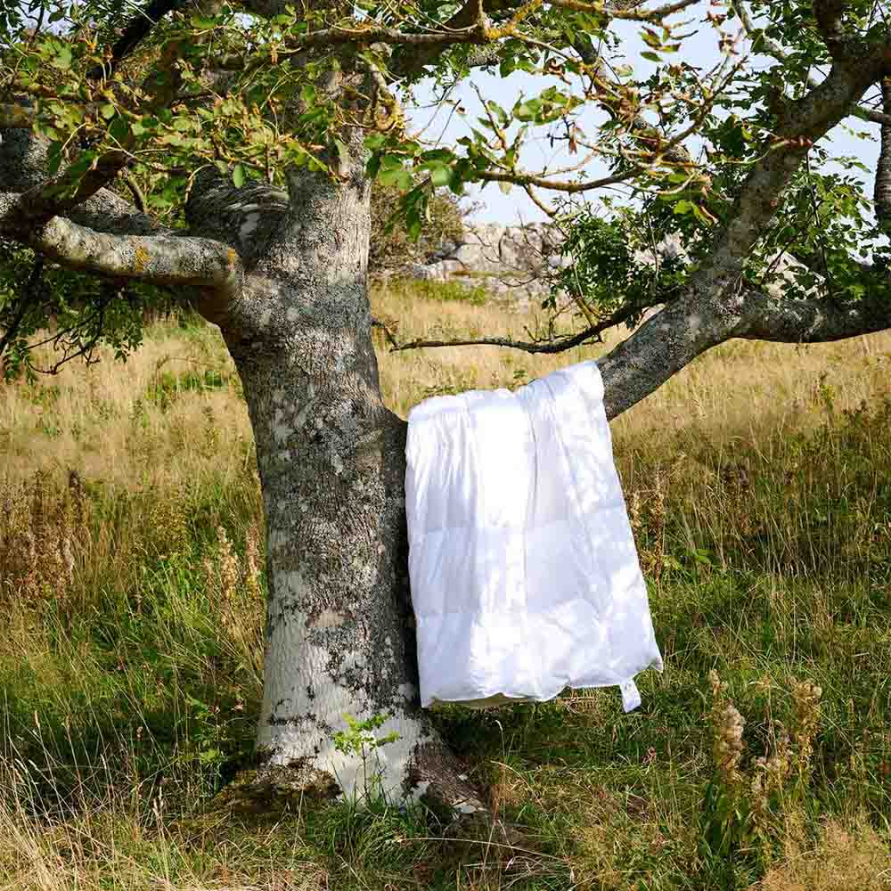 Engmo Dun Astrid Dunt&auml;cke