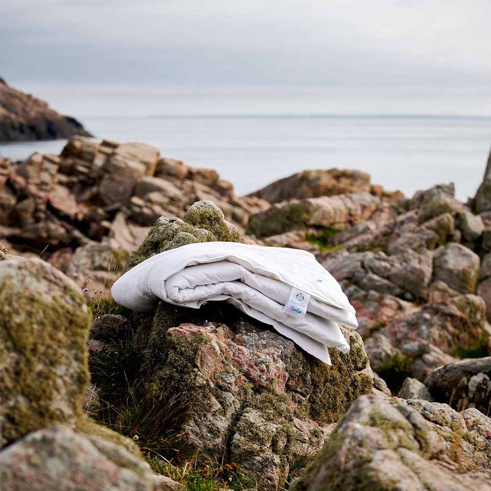 Engmo Dun Cecilia Dunt&auml;cke