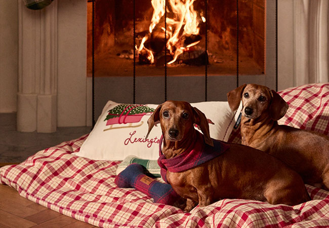 Mjuka julklappar till hemmet 